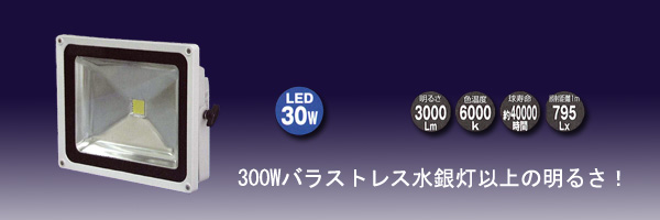 LEN-30D-ES-W