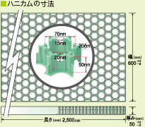 ハニカムの寸法